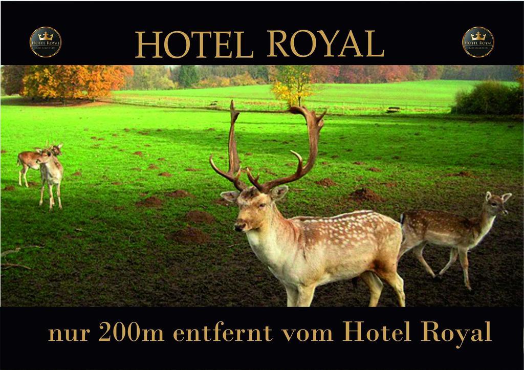 Hotel Royal Bad Salzuflen Zewnętrze zdjęcie